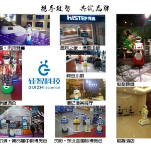 中餐廳，茶餐廳，私人會所，服務(wù)行業(yè)智能機(jī)器人