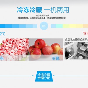 銀都六門(mén)冰柜全鋼全銅冰箱雙機(jī)雙溫冰柜廚房冰柜商用六門(mén)冰箱冷柜