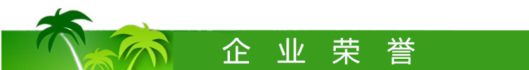 企業(yè)榮譽(yù)