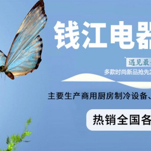 錢江家用小型制冰機 奶茶店方冰塊不銹鋼制冰機 冰塊機廚房設(shè)備