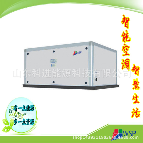 商用中央空調(diào) 專業(yè)風(fēng)柜 風(fēng)管機空調(diào) 風(fēng)冷型恒溫恒濕潔